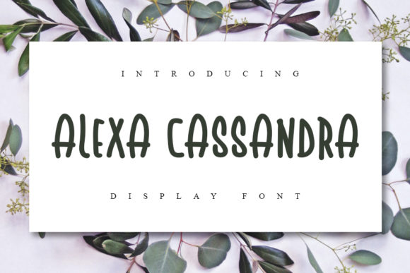 Download Alexa Cassandra Font for Free — A Quirky Display Choice