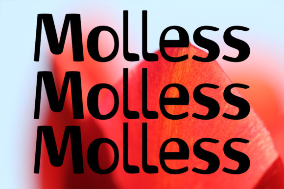 Molless: A Strong Display Font for Business Branding