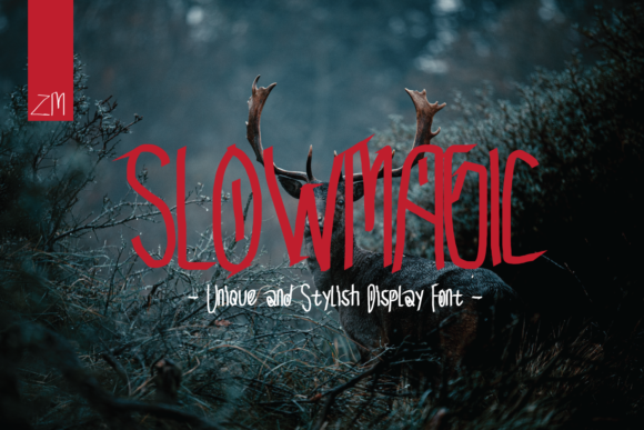 Slow Magic Display Font for Modern Brand Identity