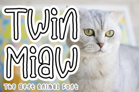 Twin Miaw Font for Eye-Catching Campaigns