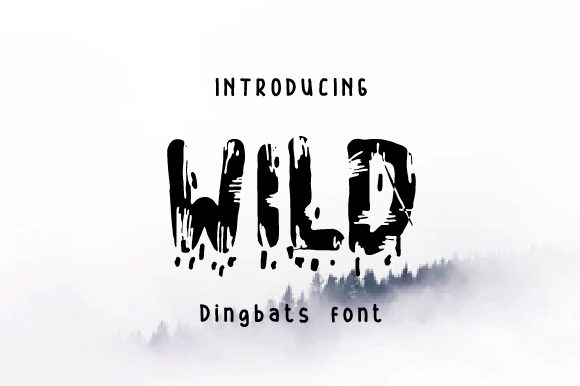 Wild Typeface Review: Bold Display Fonts for Editorial Impact